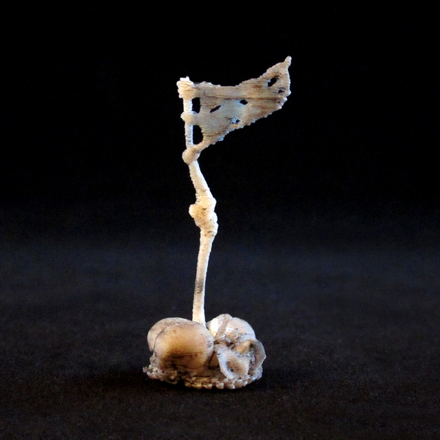 Capture_d__cran_2015-03-13___15.15.53.png Боевой флаг Сиджа, Чарнель