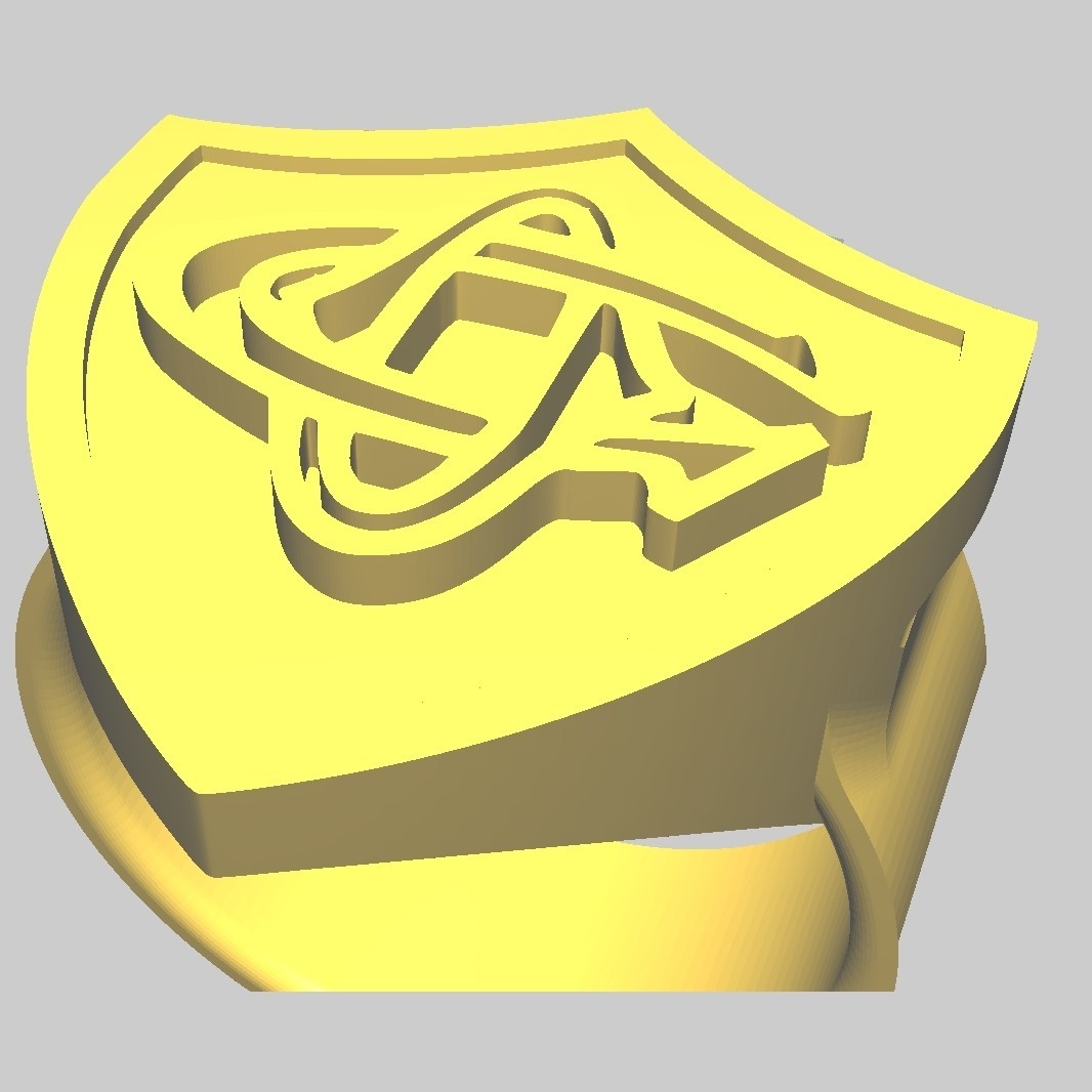 3D file Chevaliere rugby Castres 🏉 ・3D printing design to download・Cults