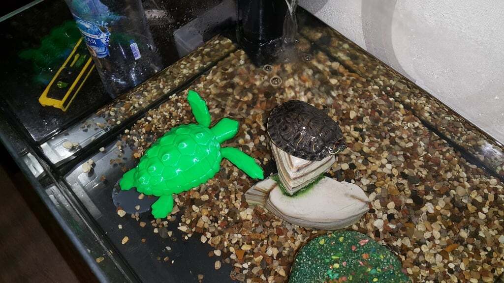 Loggerhead Sea Turtle (poseable)