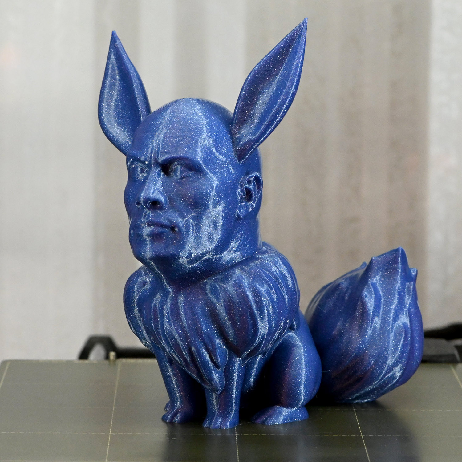 Eevee La Roca Pokemon Evolución