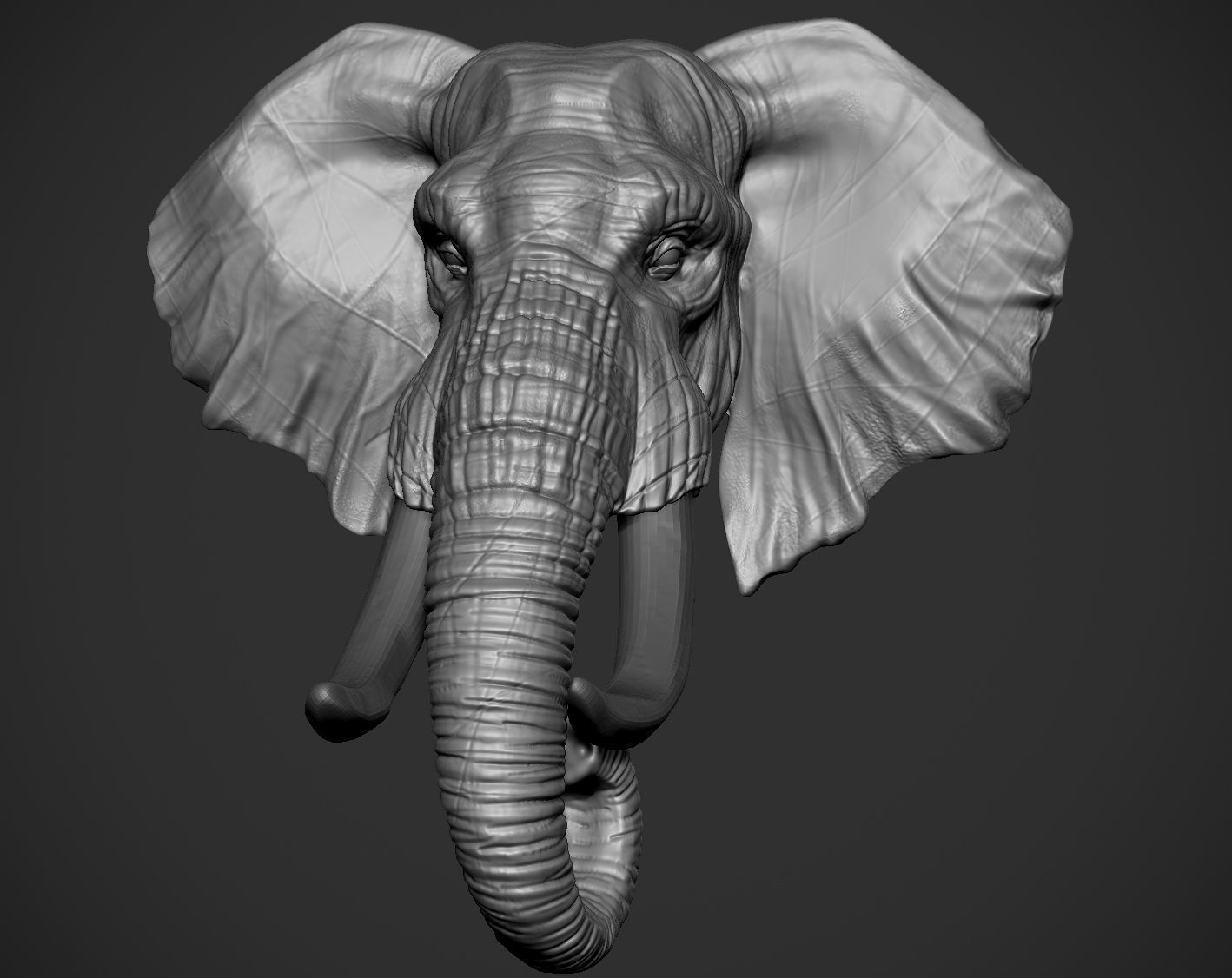 STL file Elephant Head đ (OBJ)ă»3D printer model to downloadă»Cults