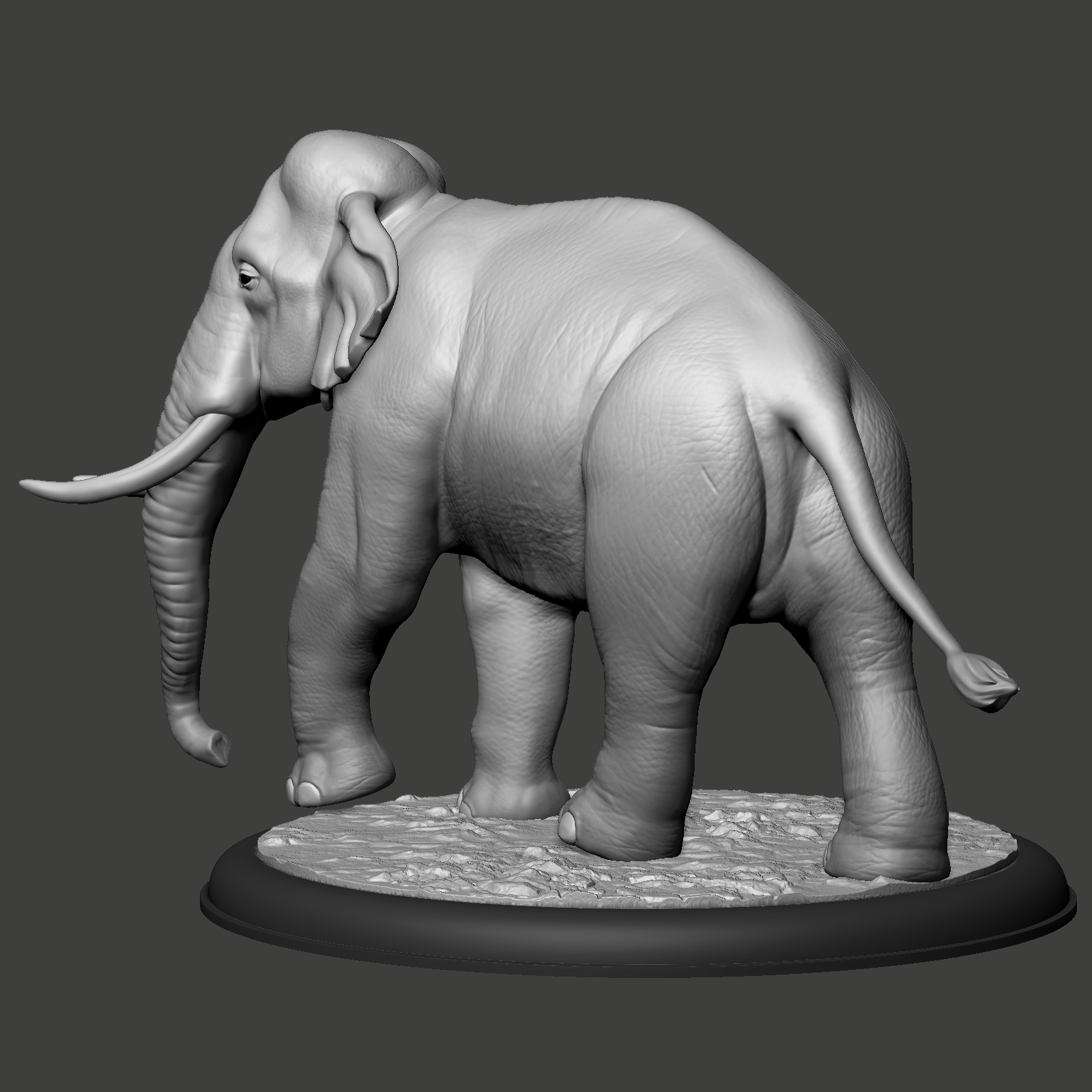 STL file Elephant Asian đ (OBJ)ă»Design to download and 3D printă»Cults