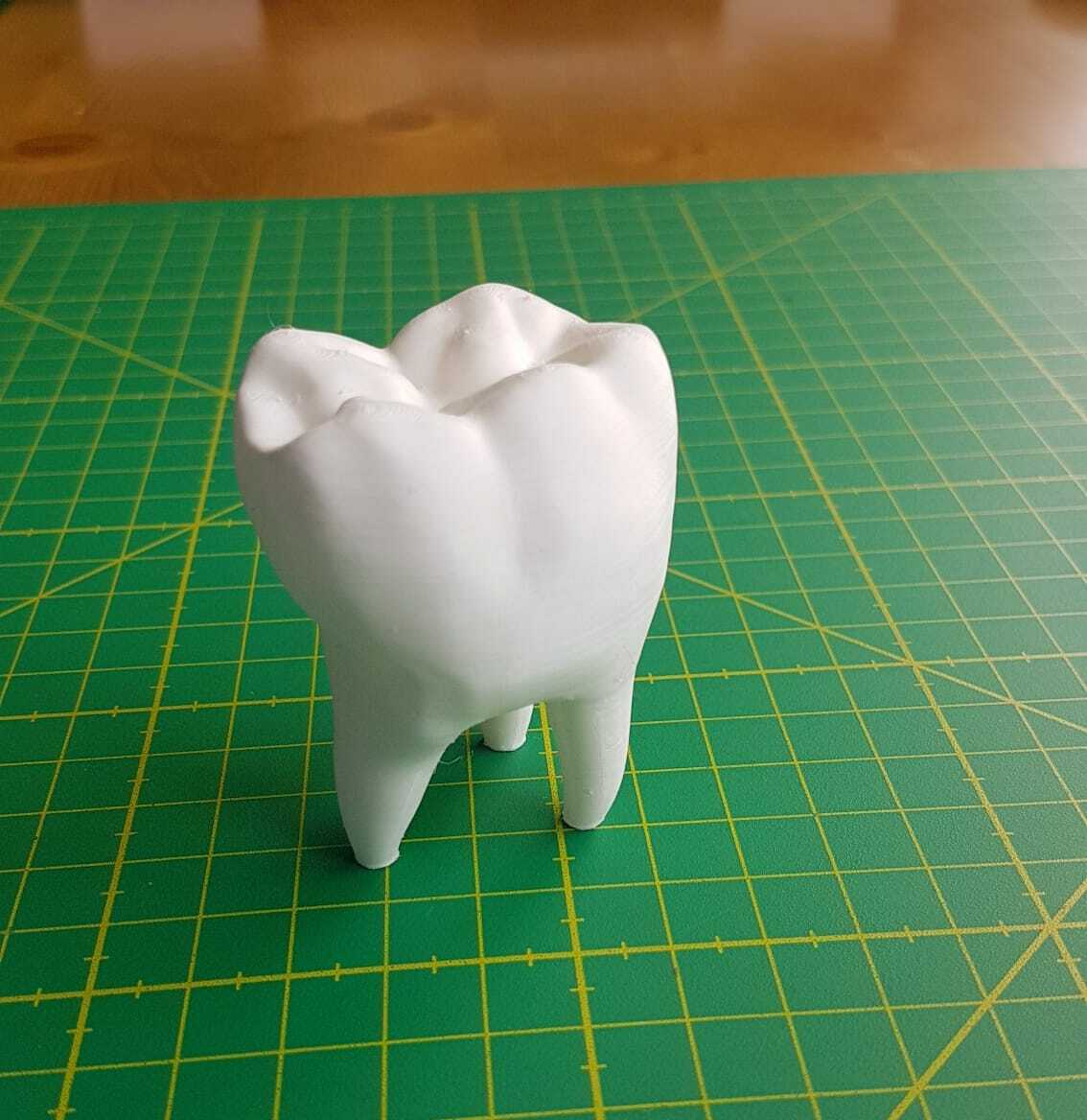🦷 Tooth business card holder for dentist・ STL File for ・Cults