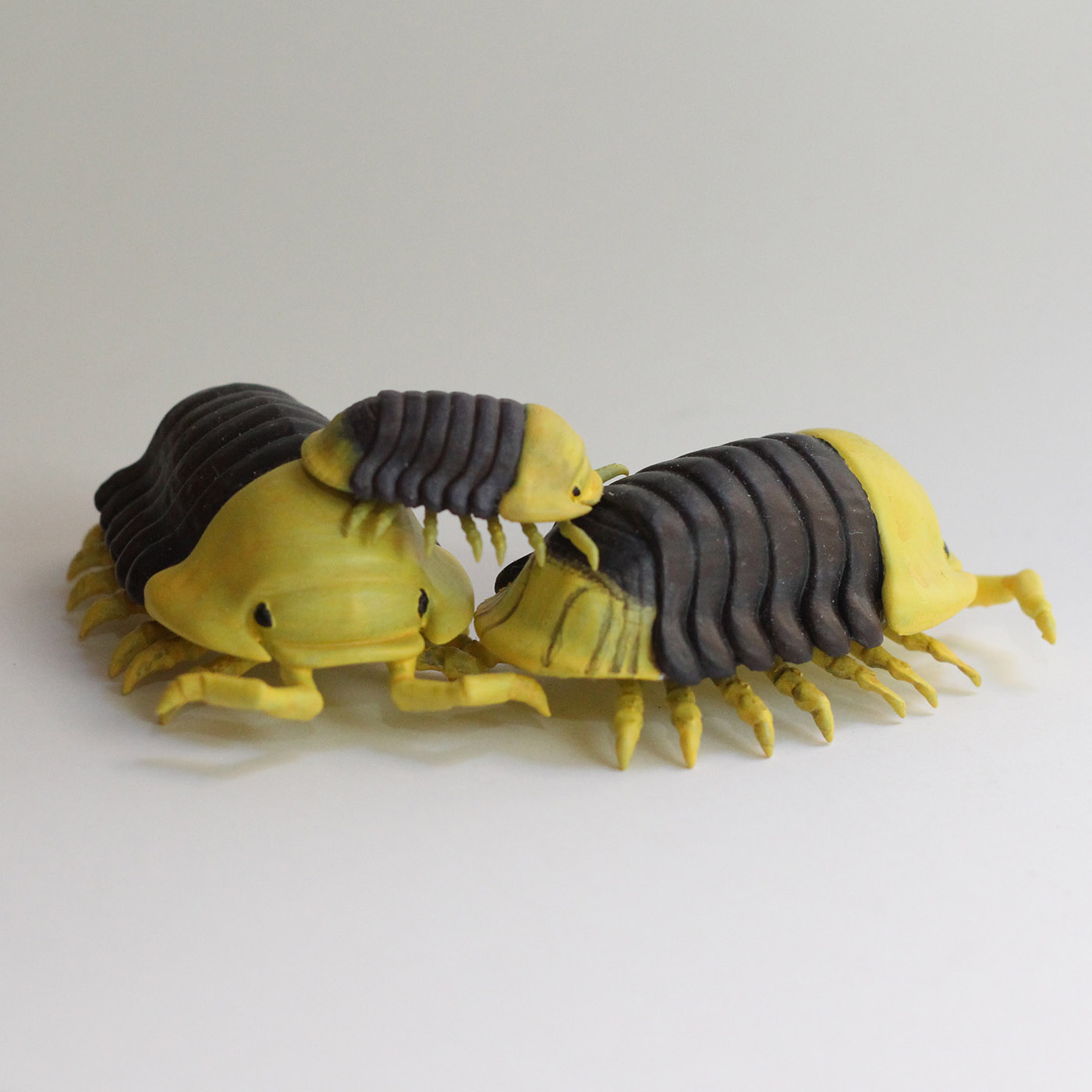 STL file Cubaris Rubber Ducky Isopod Roly Poly 🎨 ・3D printable design to download・Cults