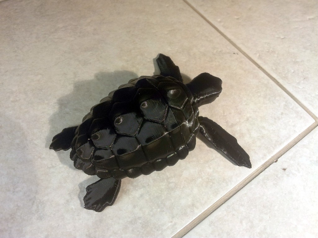 Turtle 3