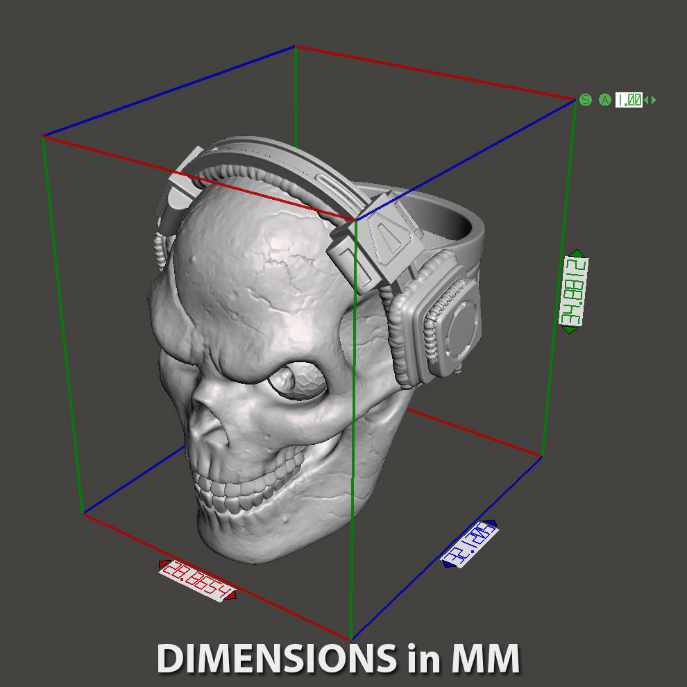 3D file Skull with headphone vol3 ring 💀 ・Model to download and 3D ...