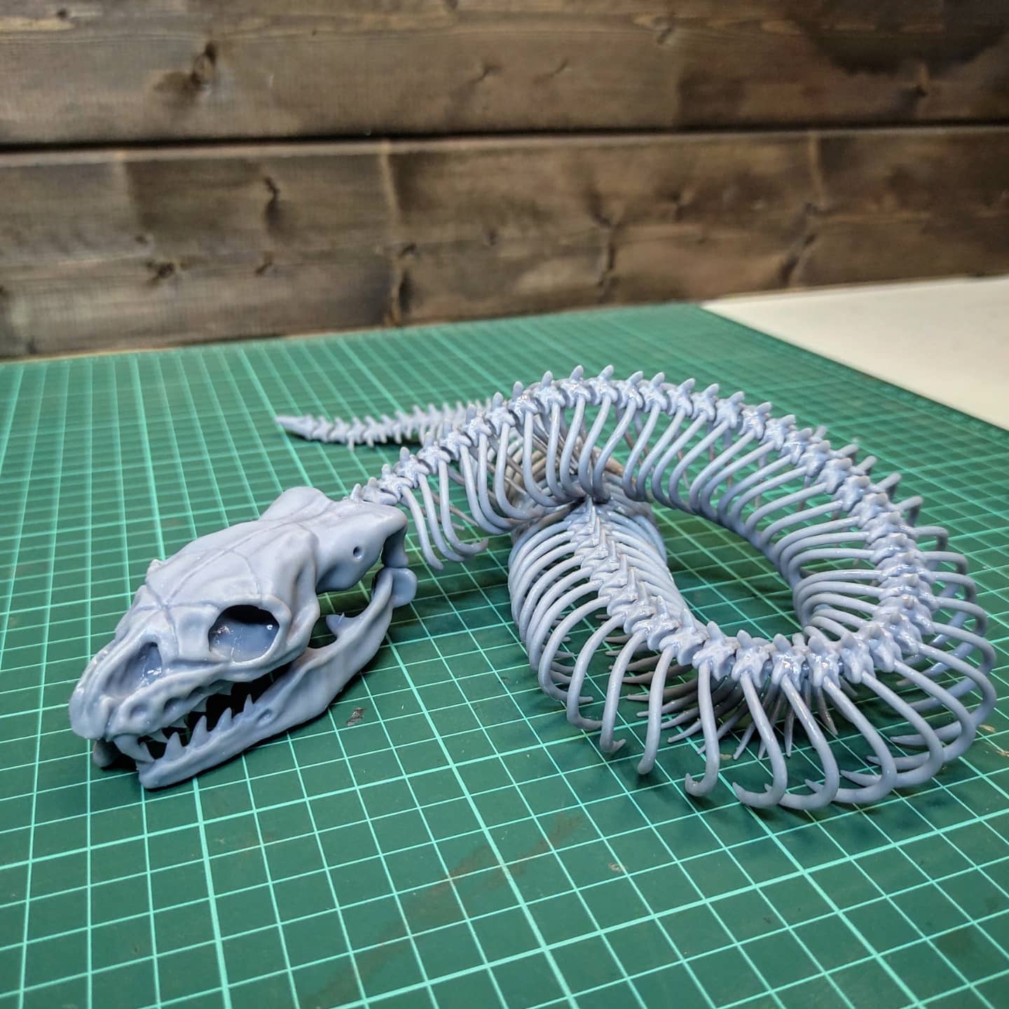 3D printable Snake skeleton • made with Anycubic Photon・Cults