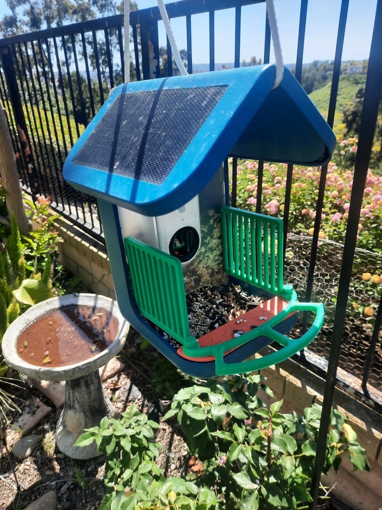 Free 3D file Bird Buddy perch and fences, merged 🐦 ・Template to