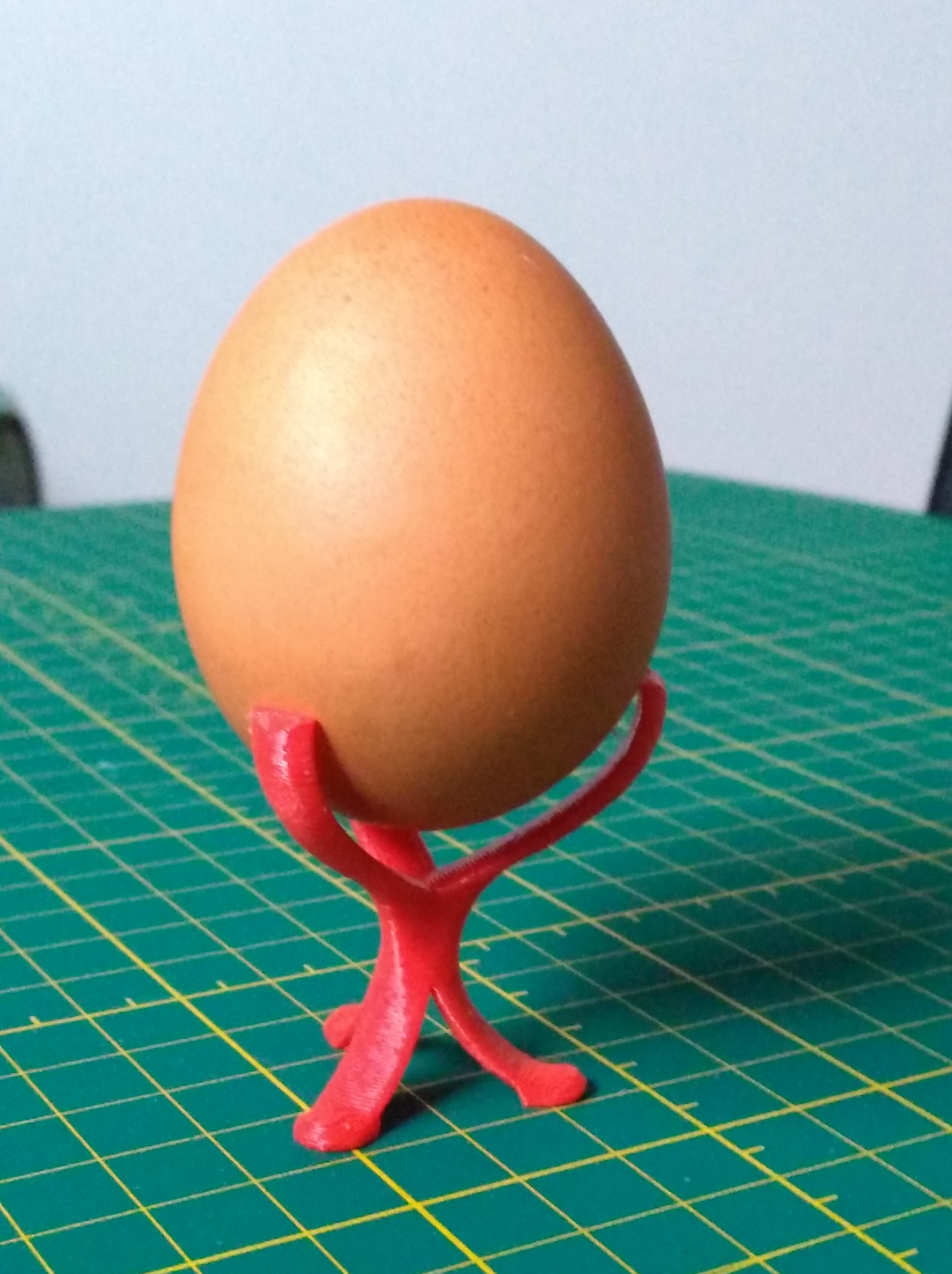 Is Your Egg Support Failing? Find Out Now! - l24rk3u