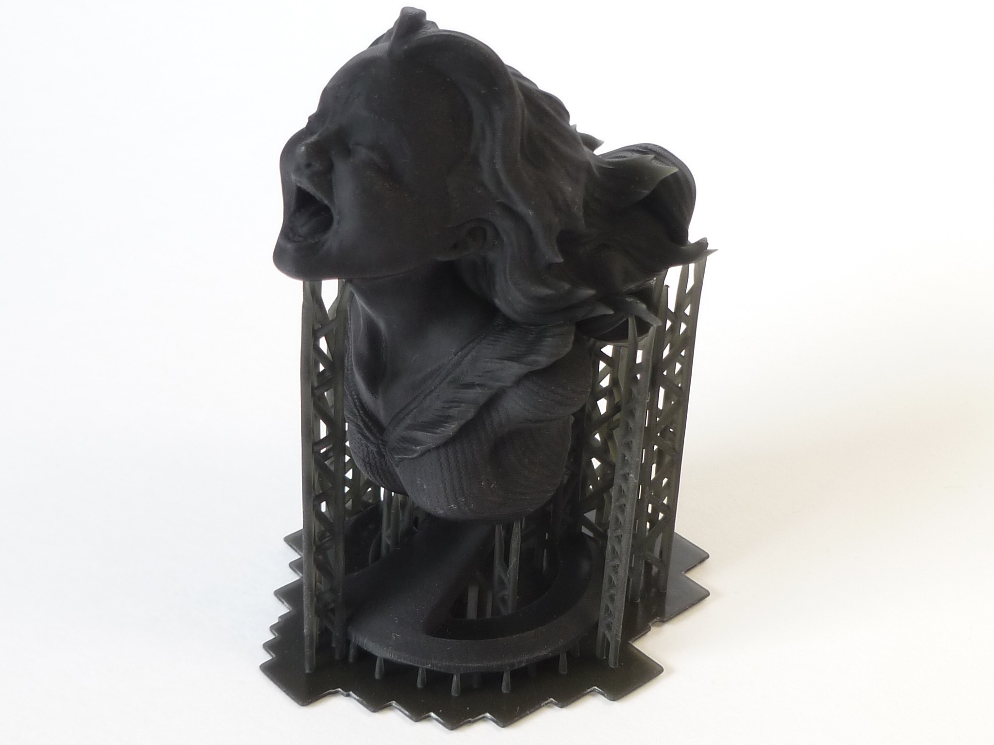 3D print The Joyful Yell • made with Anycubic Photon・Cults
