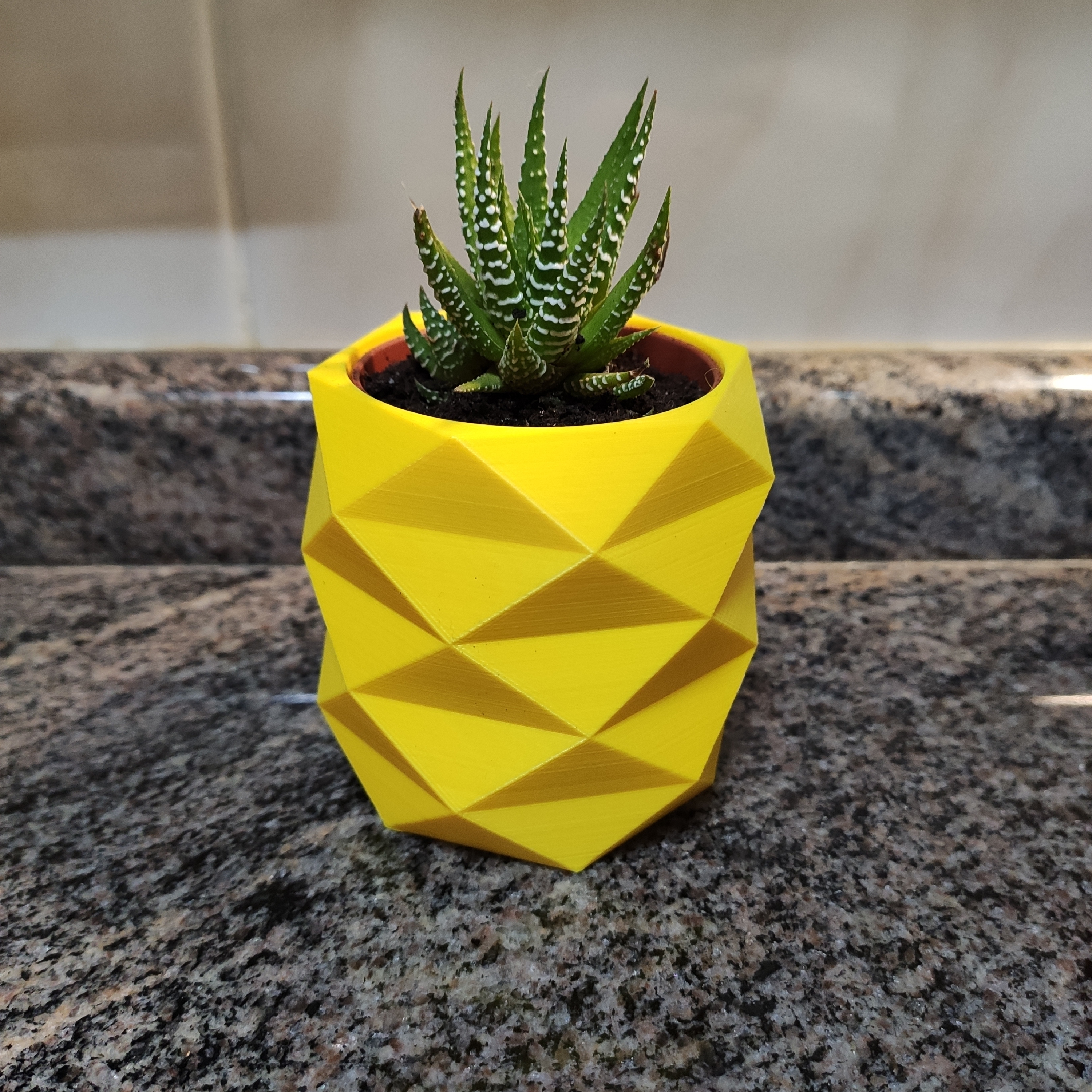 Low Poly Ananas Mini Kaktus Topf STL Datei fr Cults