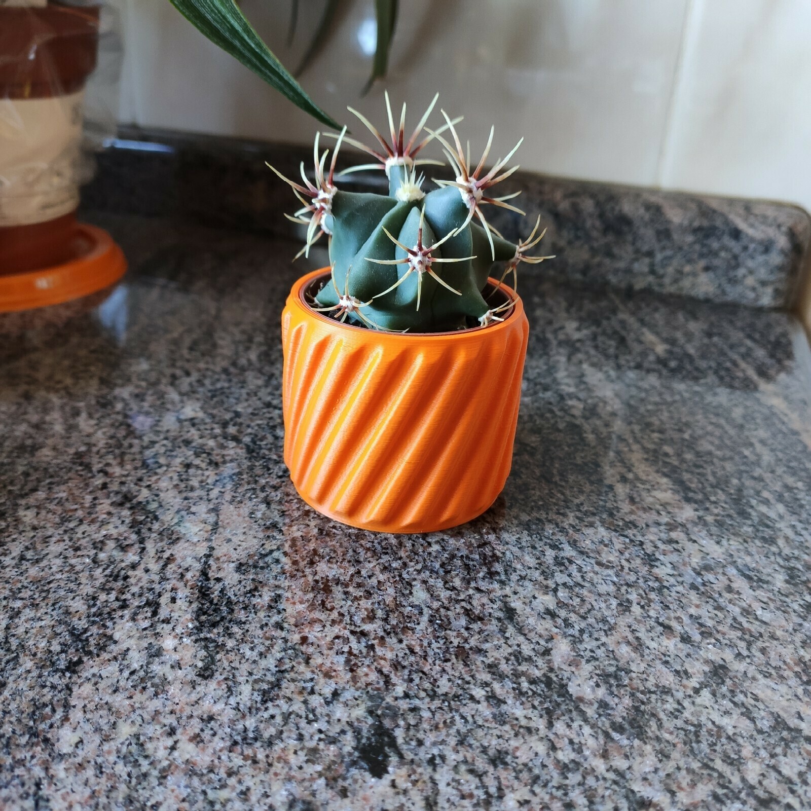 Twisted Lines IKEA Mini Cactus Pot STL File for Cults