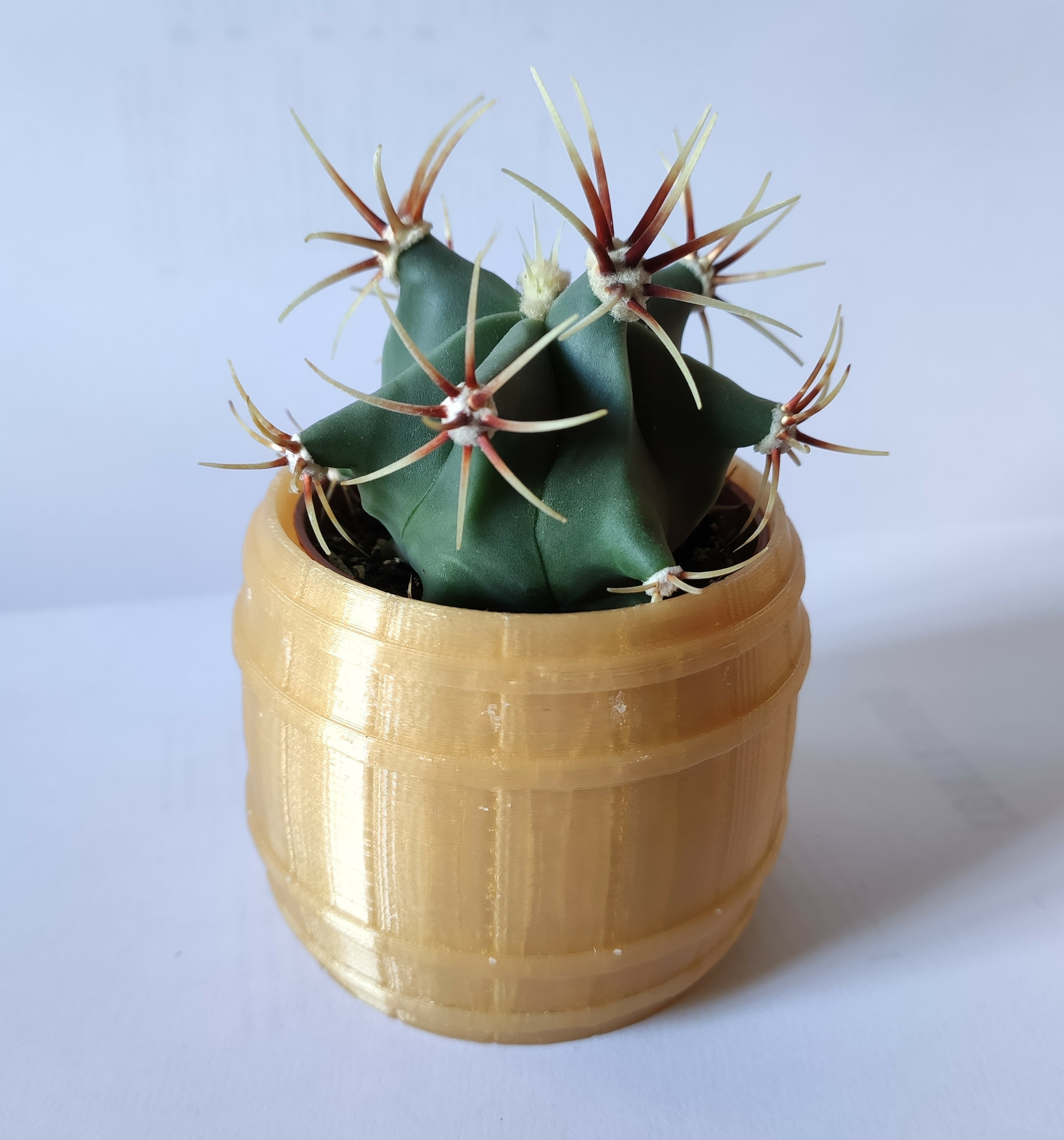 Barrel Ikea cactus pot 3D File for Cults