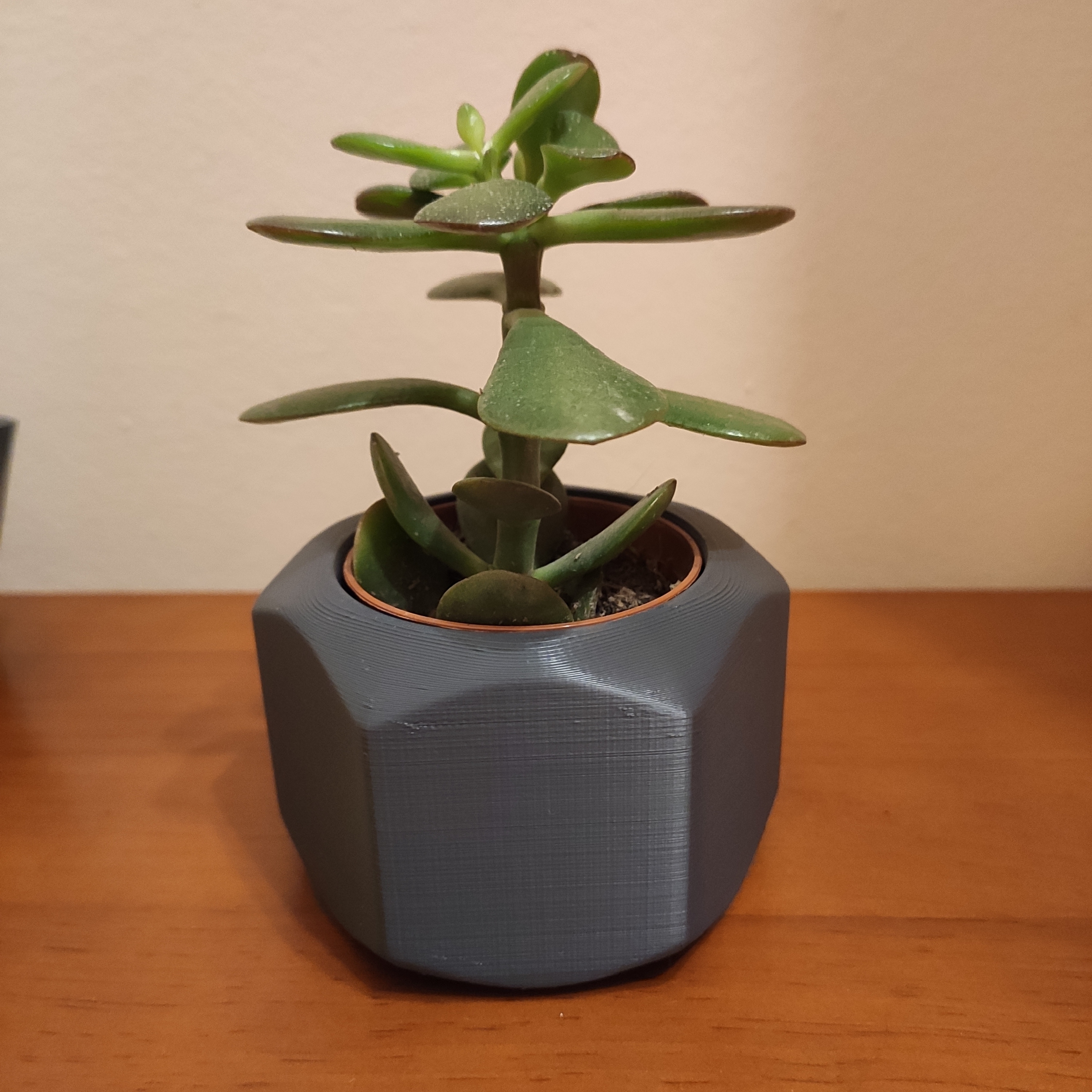 Nut ikea mini cactus pot