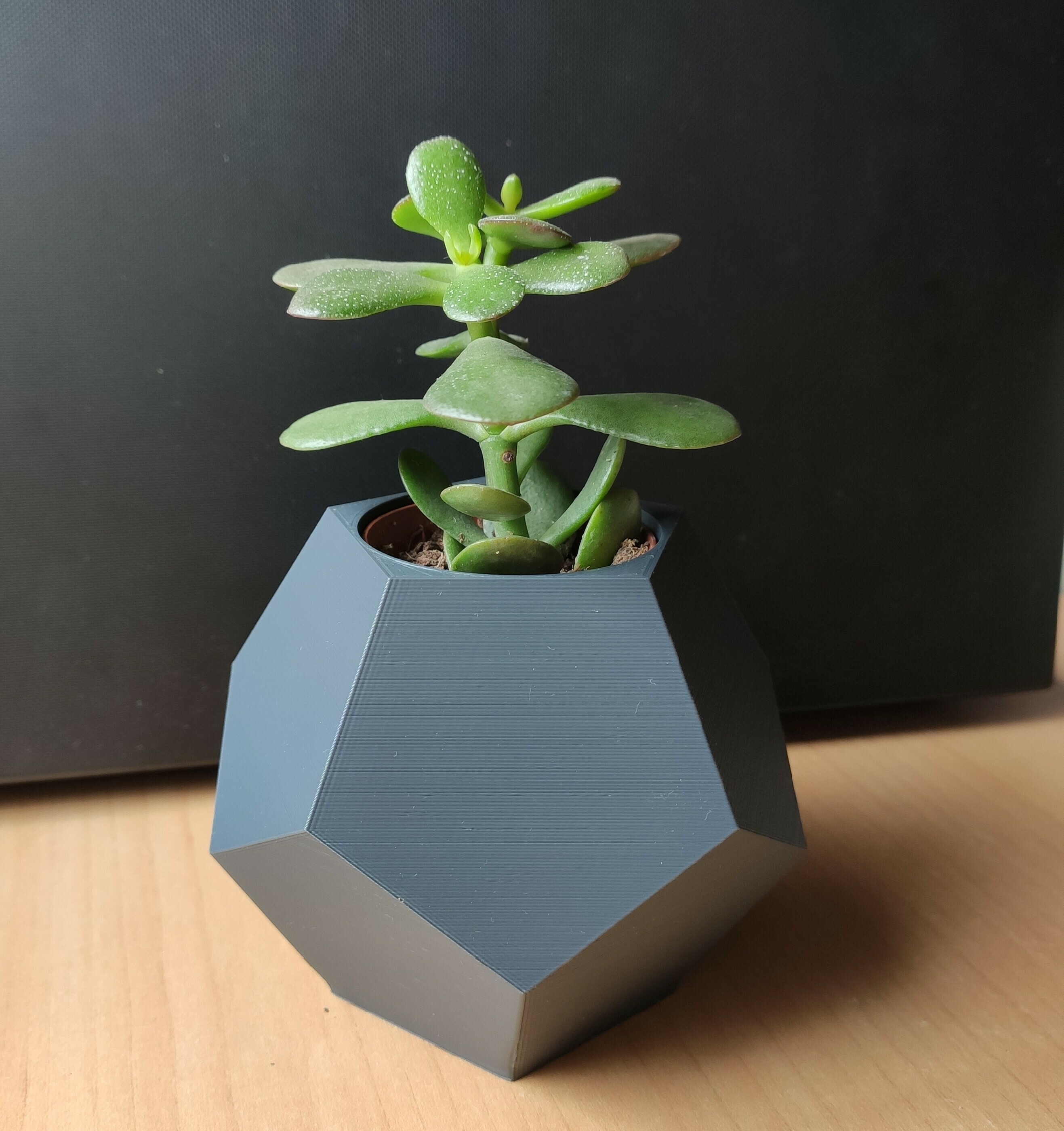 Dodecahedron Ikea cactus pot 3D File for Cults