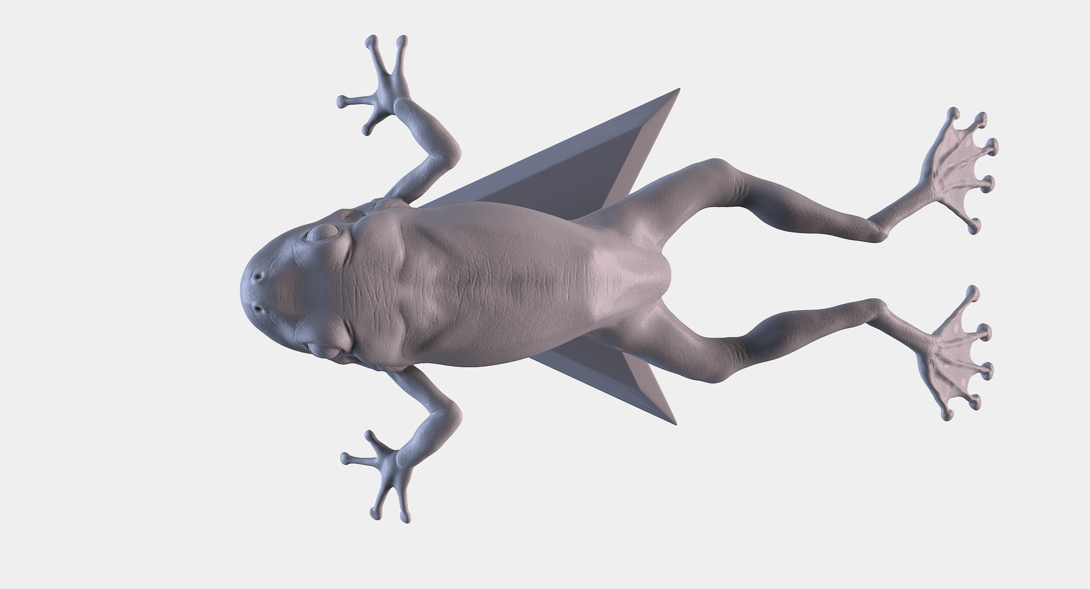 🐸 Frog・ 3D File for ・Cults