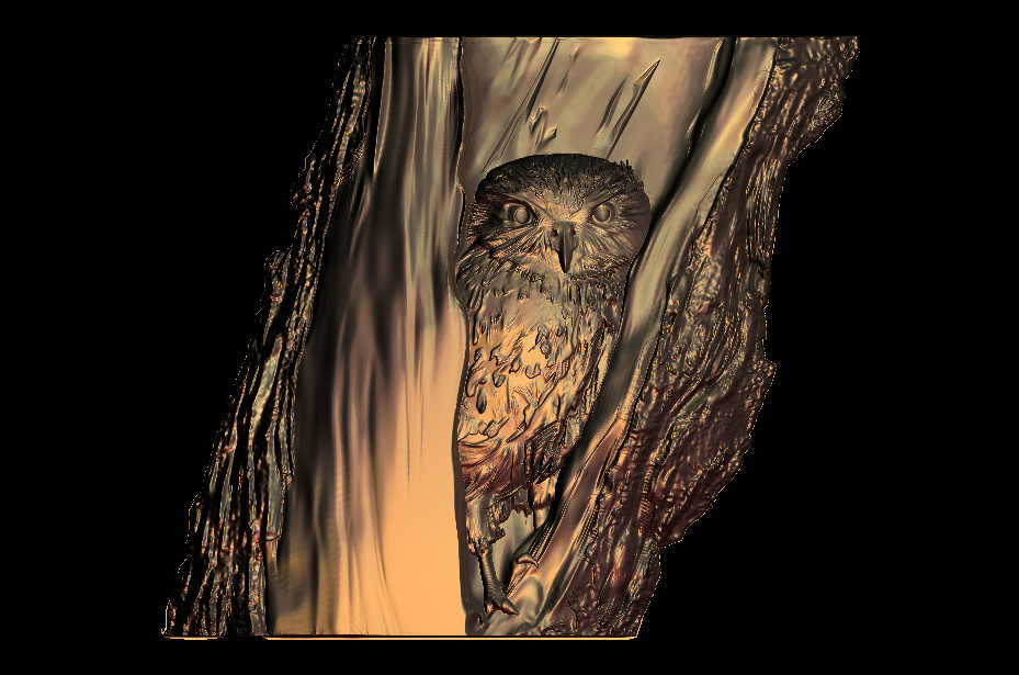 14.jpg owl in a tree