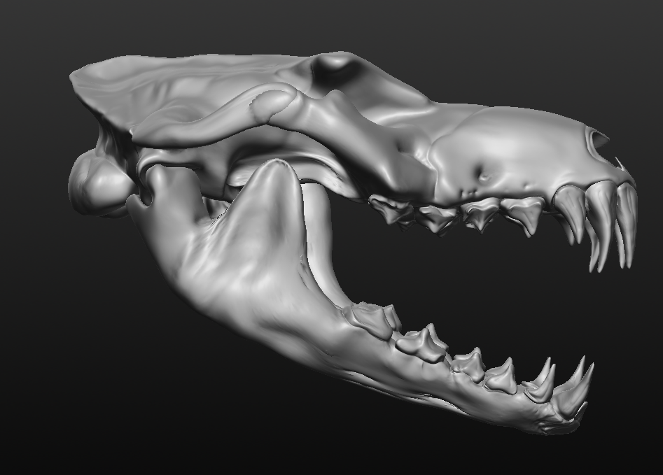 Skeleton Ravager Texture OBJ file Ravager Skull 💀 ・3D print object to download・Cults