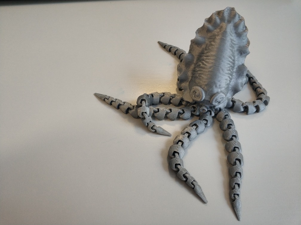 Free STL file Articulated Octopus / Cuttlefish by Onasiis 🐙 ・3D