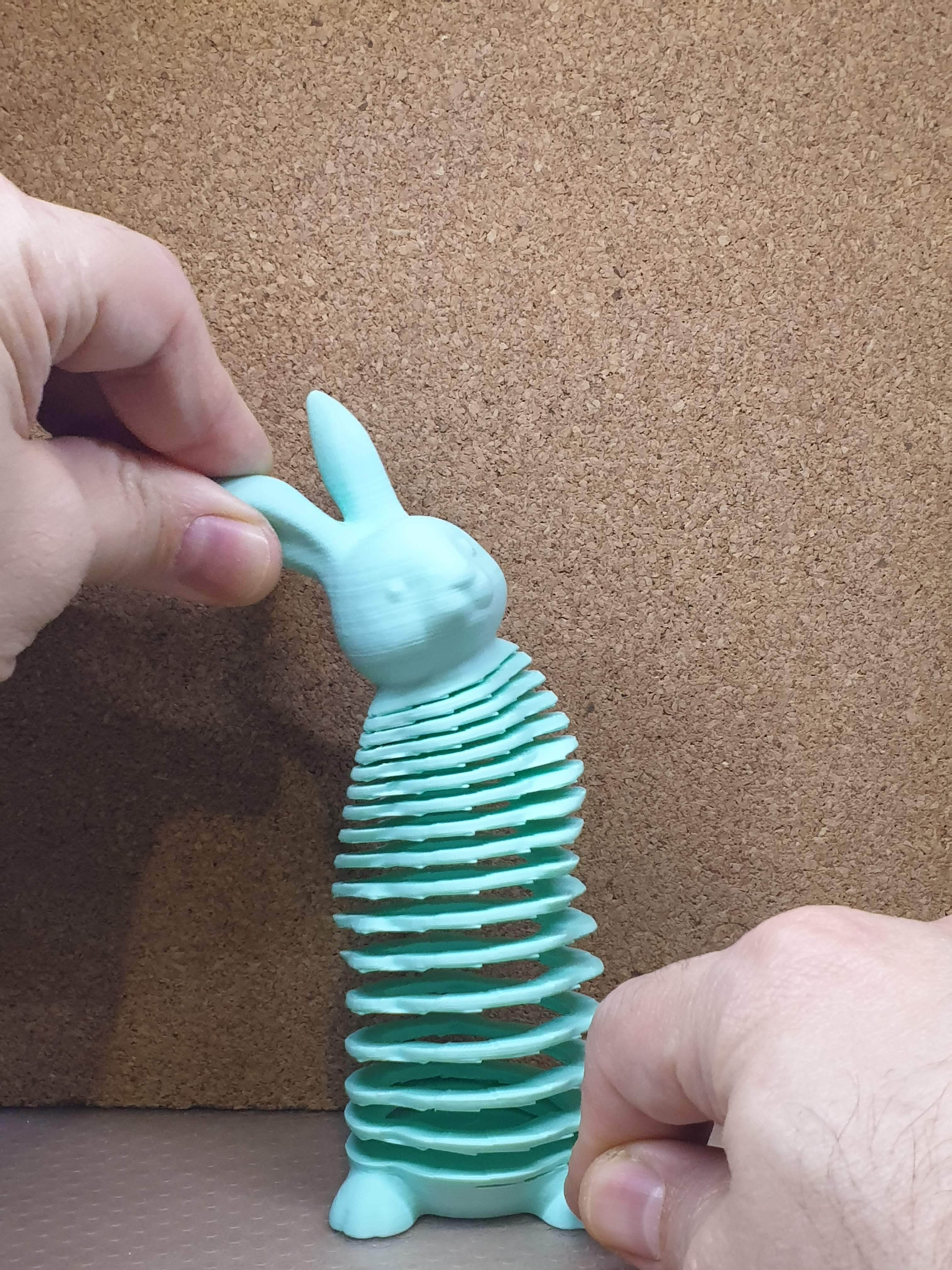 3D printable Springy Rabbit (2)・Cults