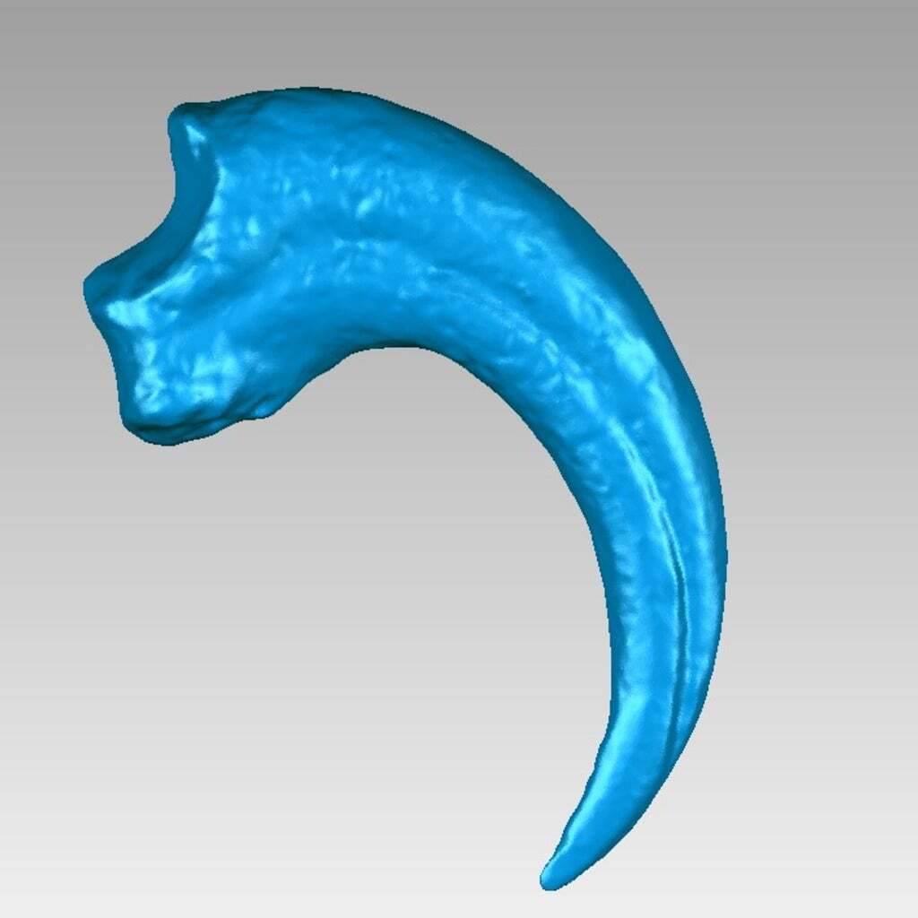 🦖 Velociraptor dinosaur claw・Free STL File for ・Cults