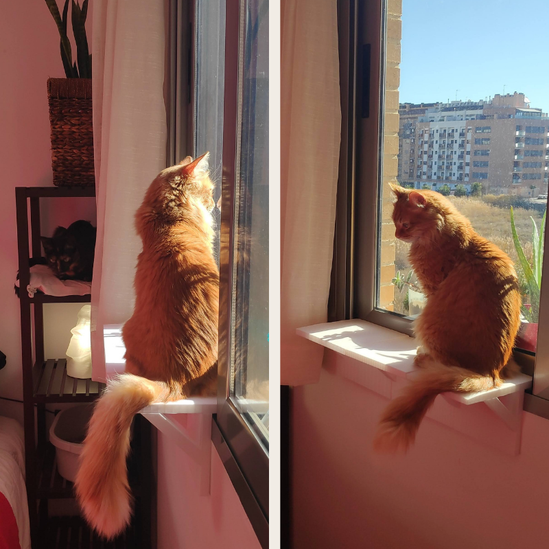 🪟 ESTANTE PARA VENTANA CORREDERA, PARA GATO, PARA PLANTAS