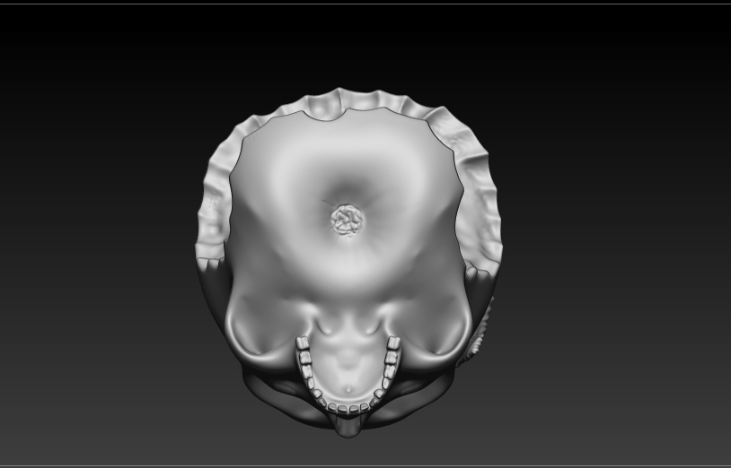 🍎 apple skull・ STL File for ・Cults