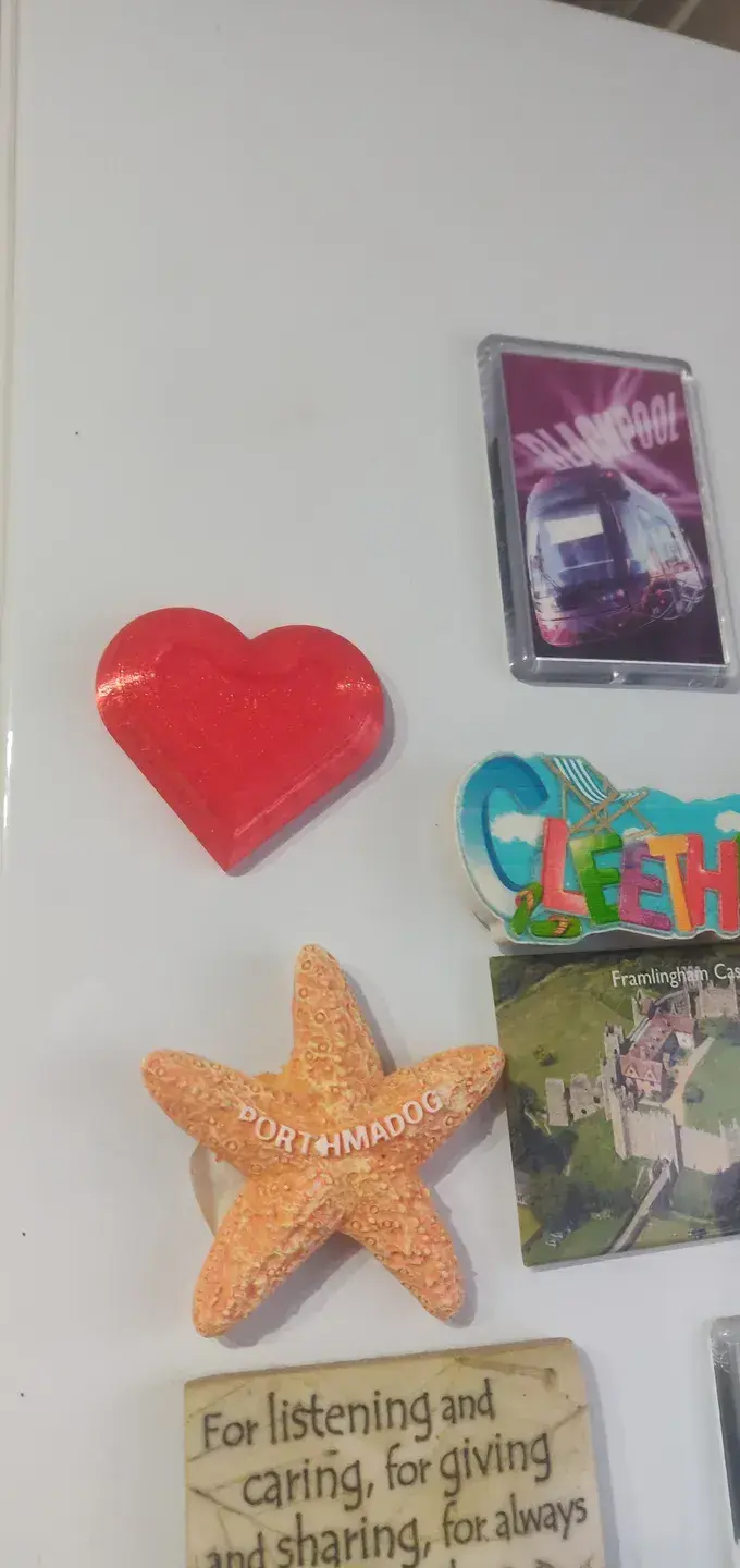 Ziddi Prints - This Wild Heart Fridge Magnet: Bold and Beautiful with Every Glance main image 1
