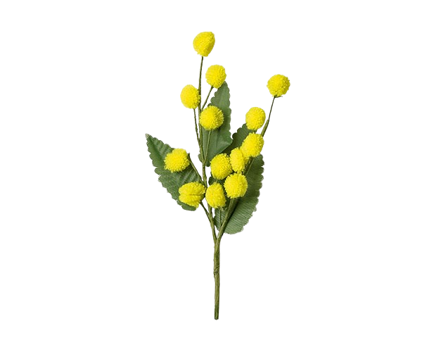 Archivo 3D gratis Mimosa - Día de la mujer 🖼️ ・Objeto para impresora 3D ...