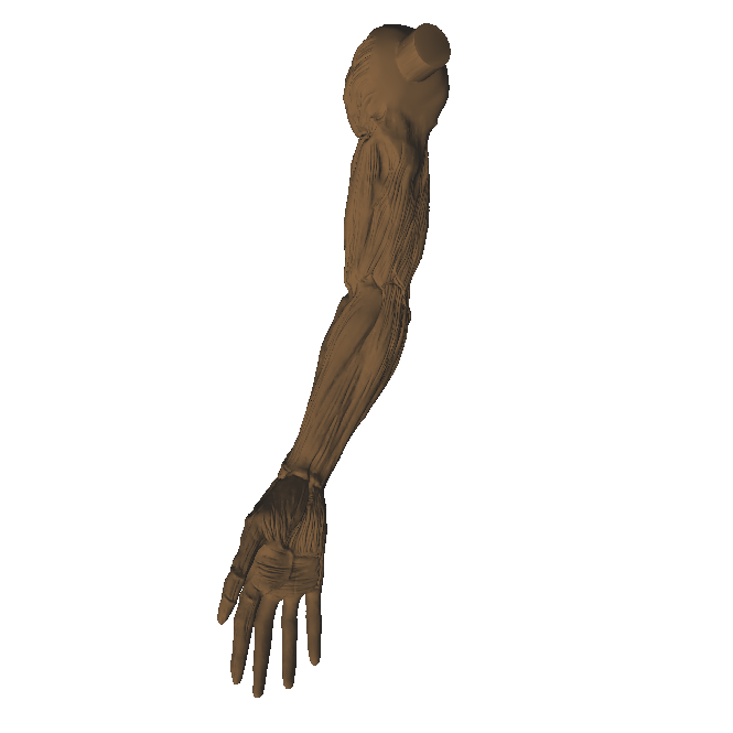 Groot Arm Model 👽 Groot Large 650mm・ STL File for ・Cults