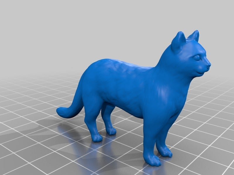 Free STL file cat cavity - shopping Amsterdam / box - sophisticated ...