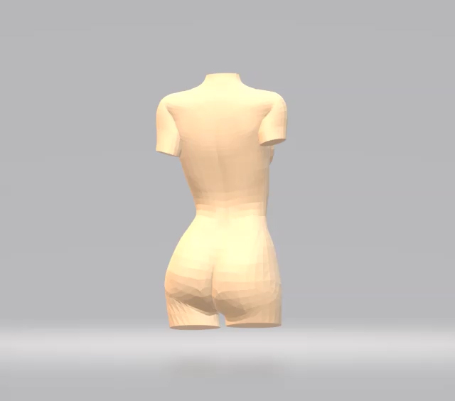 Woman Torso