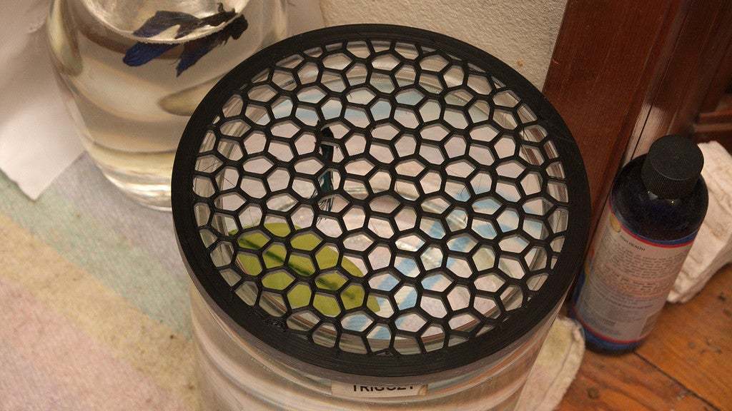 Free STL file Fish Bowl Cover 🐠・3D printing model to download・Cults