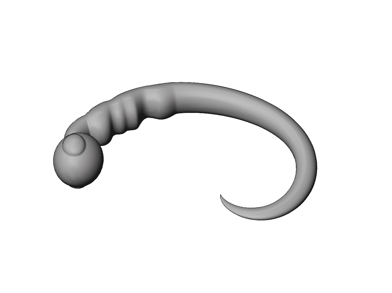 STL 文件 Simplified 10x model morphogenesis of an embryos nervous system ...