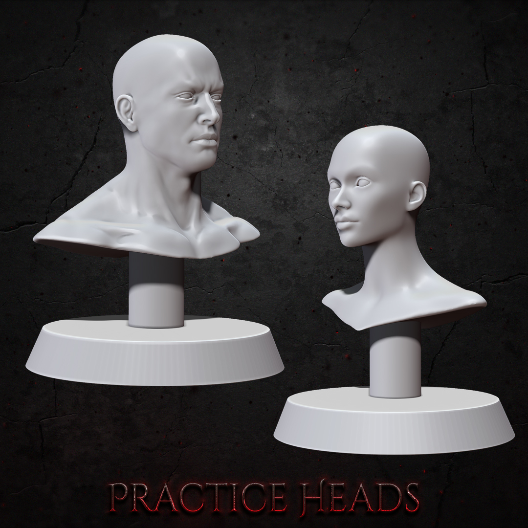 🖼️ Practice Heads - Skin Painting・Free 3D File for ・Cults