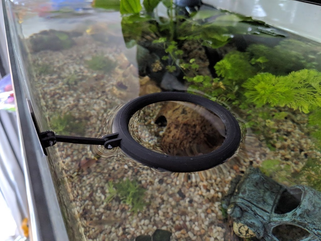 Floating fish feeding ringFree 3D File for Cults
