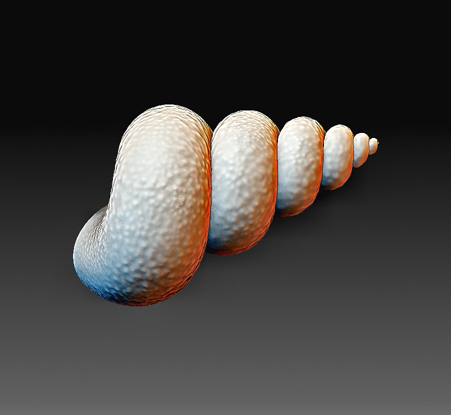 Free STL file Sea Rapan 👫 (OBJ)・3D printer model to download・Cults