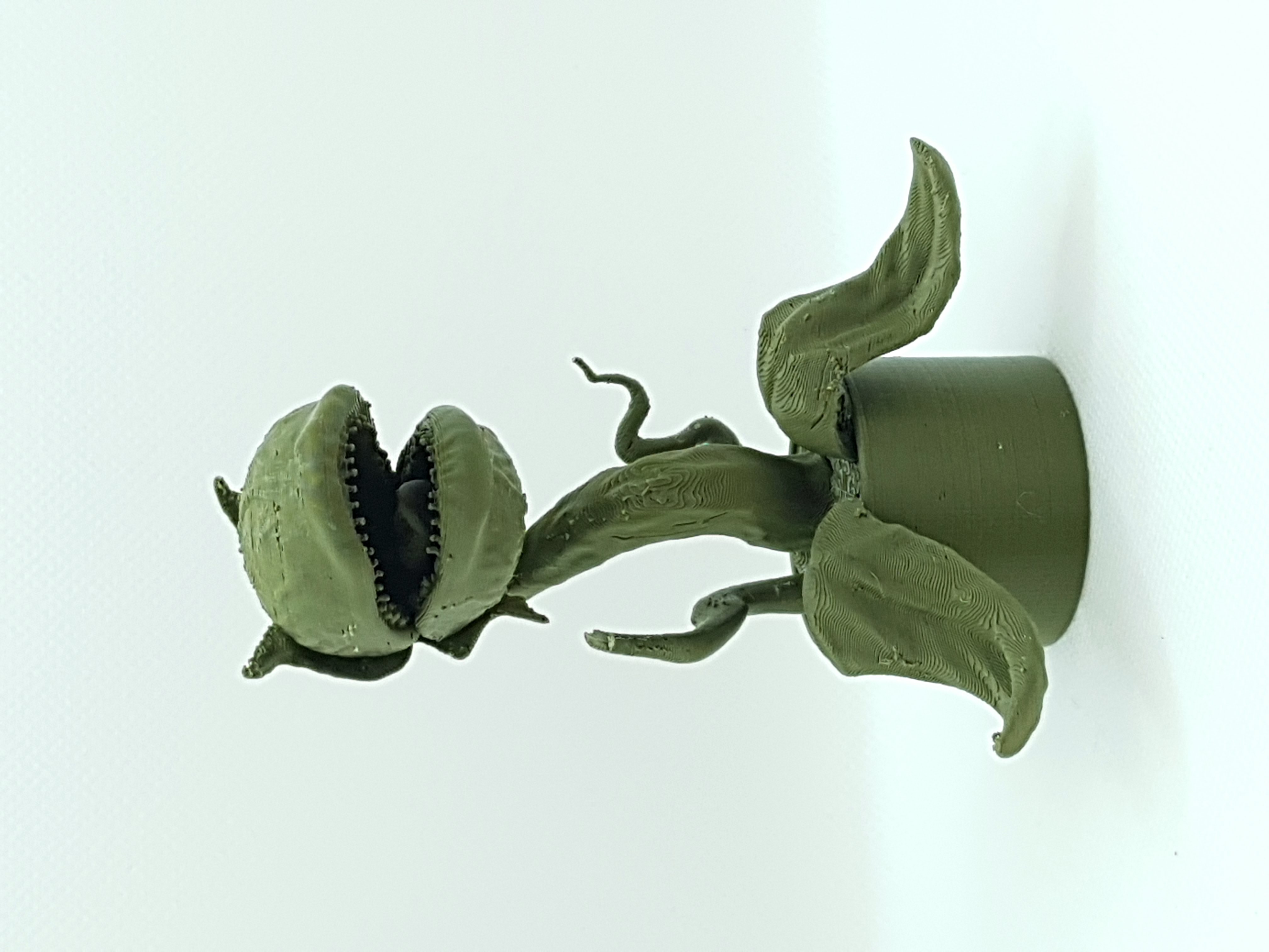 🎨 Audrey 2 little shop of horror・ STL File for ・Cults, image size:3024x4032