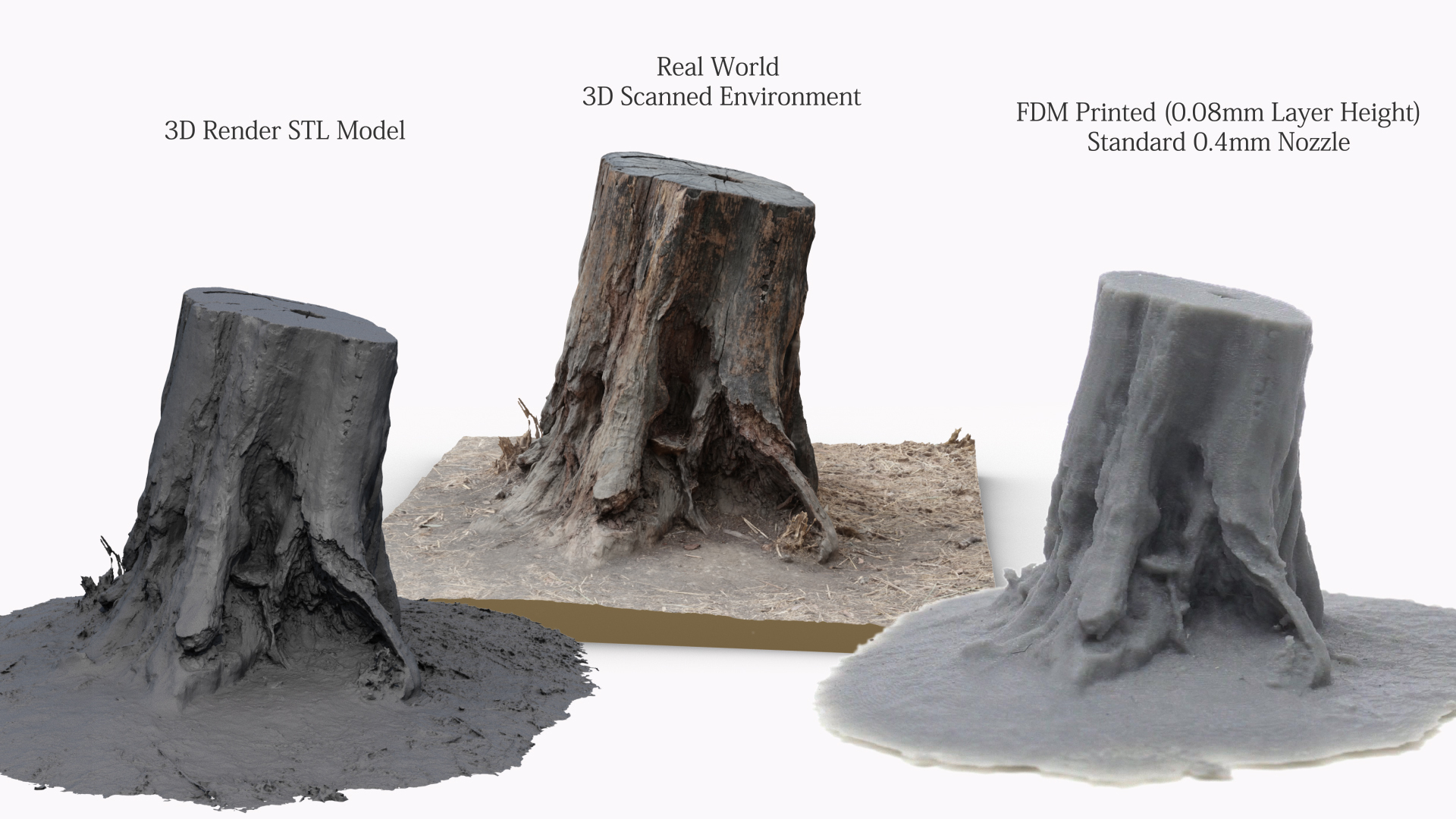 Free STL file 3D Scanned Tree Stump for Tabletop Scatter Terrain 🌳・3D