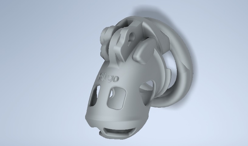 STL file Hugo V1.2 Chastity cage device Size S 🤐 ・3D printable model to ...