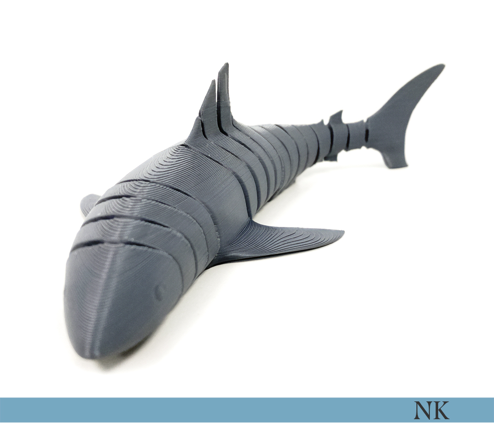 🦈 FLEXI ARTICULATED SHARK・ STL File for ・Cults