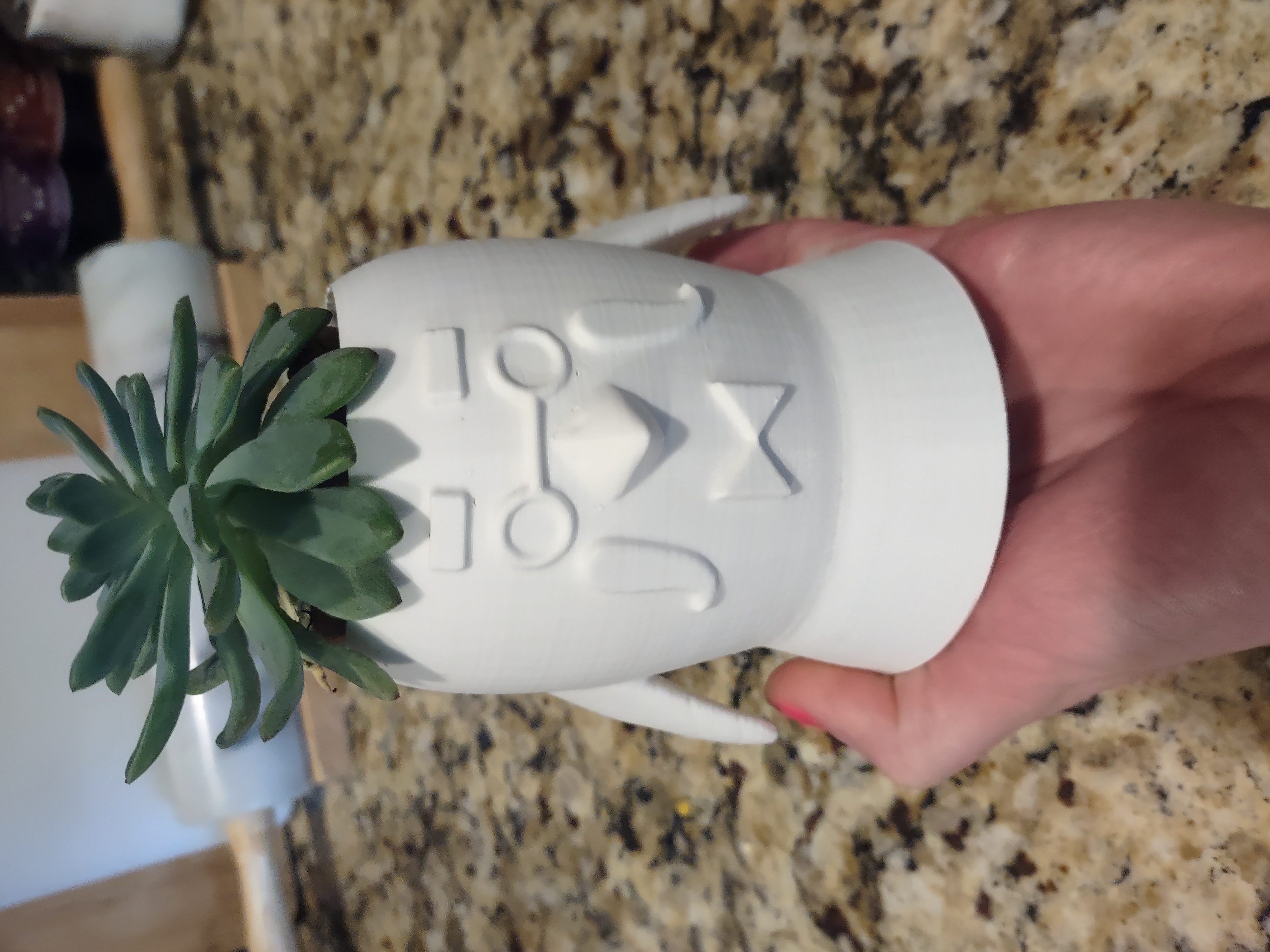 Brewstoid Planter - Animal Crossing New Horizons Gyroid STL File for  Cults