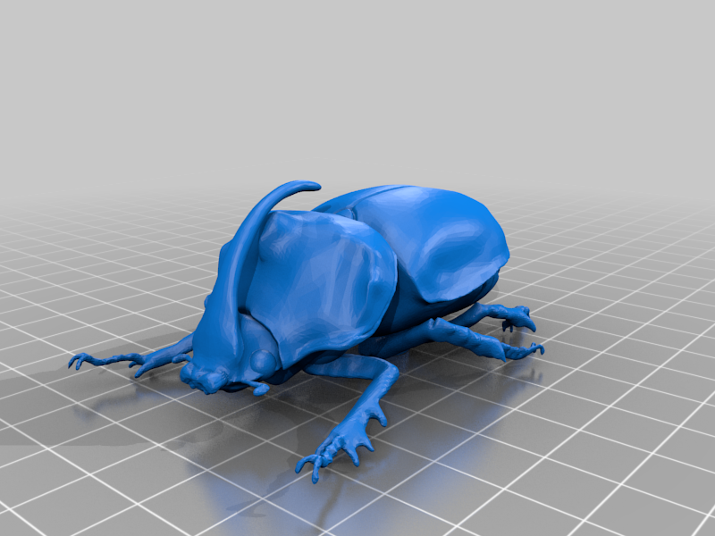 🪲 Oryctes gigas・Free STL File for ・Cults
