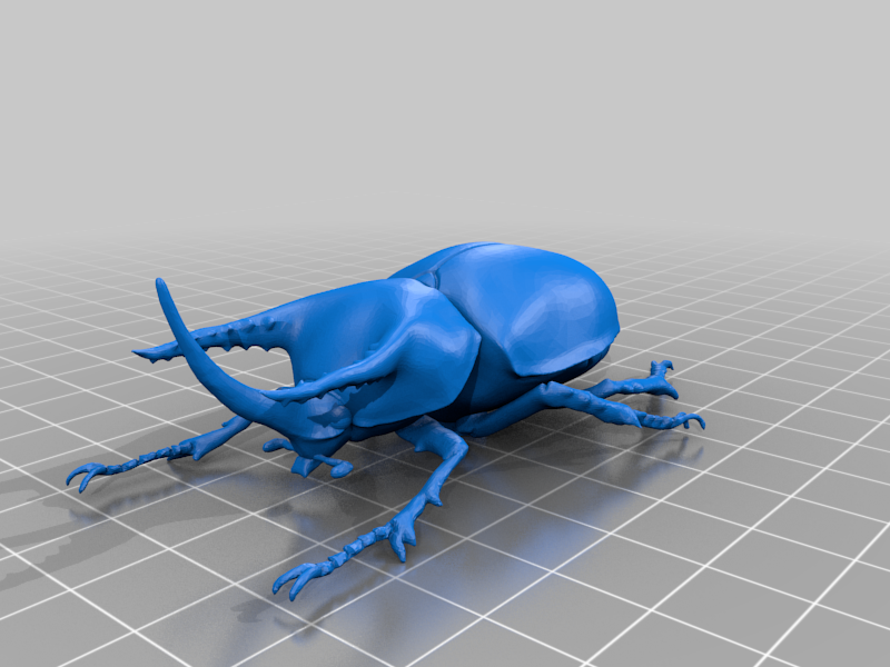 Archivo STL gratis Beckius beccarii 🧸 ・Modelo de impresión 3D para ...