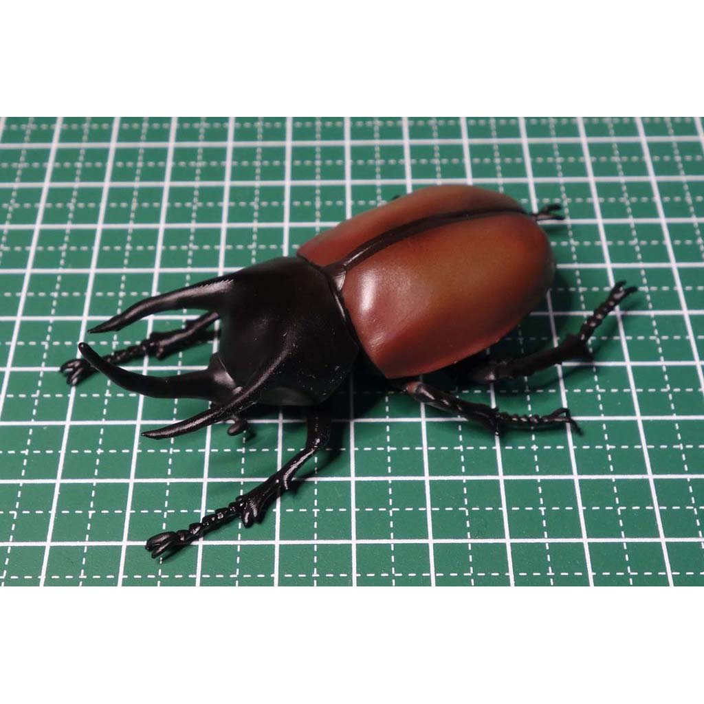 Archivo STL gratis Beckius beccarii 🧸 ・Modelo de impresión 3D para ...