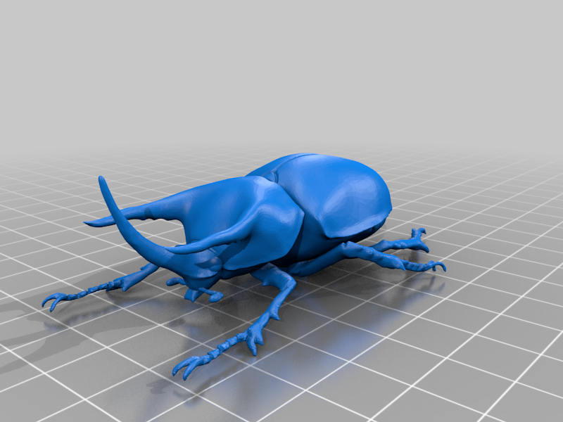 Archivo STL gratis Beckius beccarii 🧸 ・Modelo de impresión 3D para ...