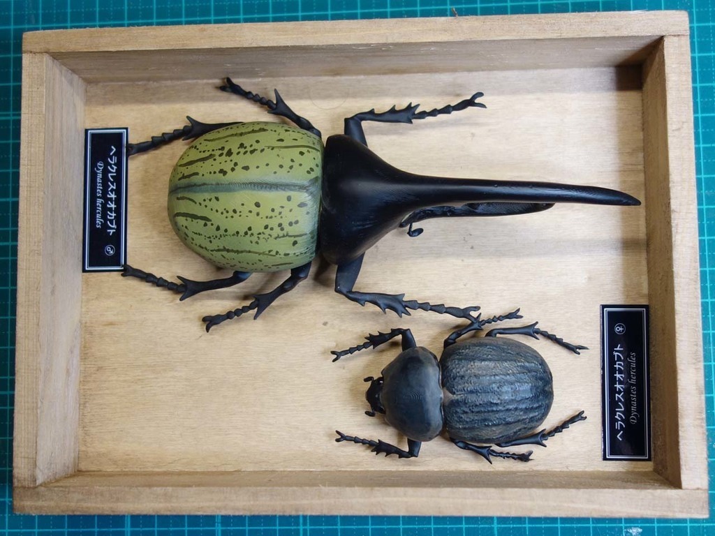 🪲 Hercules beetle・Free STL File for ・Cults