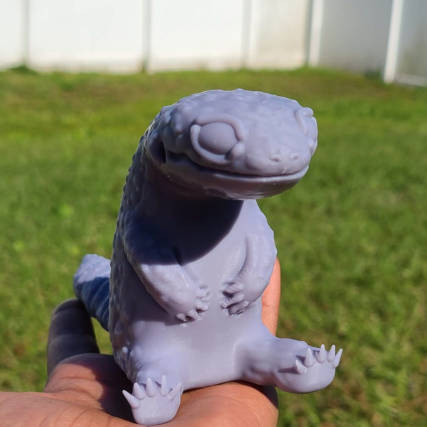 LGPhoto.jpg Leopard Gecko