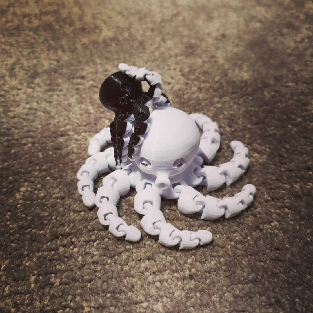 Cute Mini Octopus
