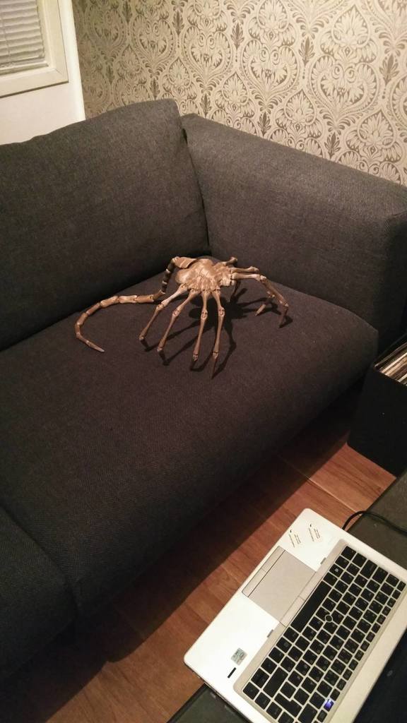 Impresión 3D Agisis Ultimate Alien Face Hugger (40in x 23in LIFE SIZE!)・Cults